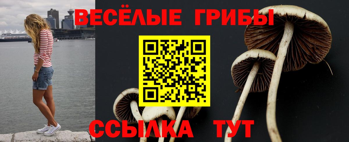 Назарово  Галлюциногенные грибы Magic Shrooms  Вход с VPN 